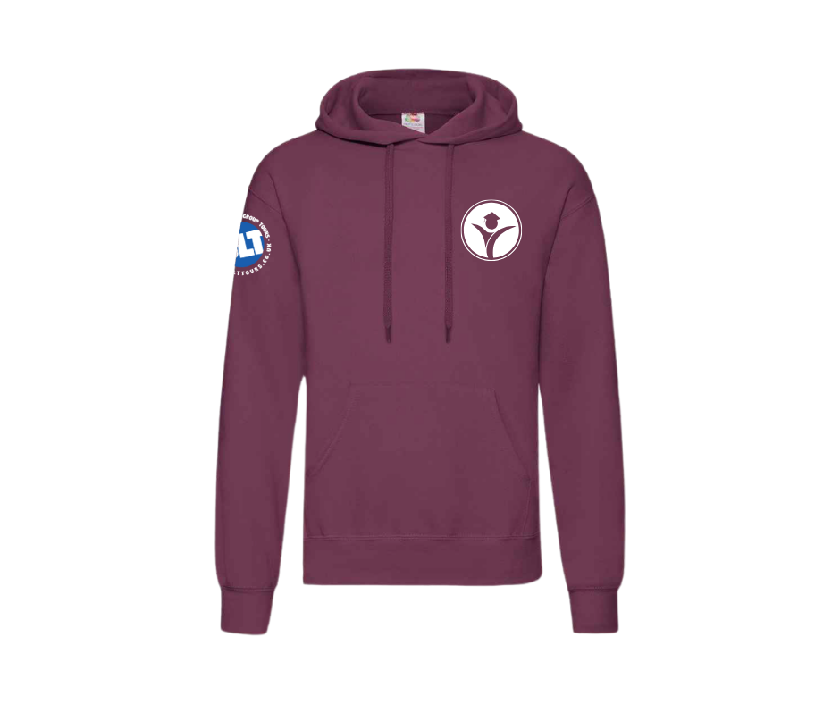 SLT - Economy Hoodie - Image 18