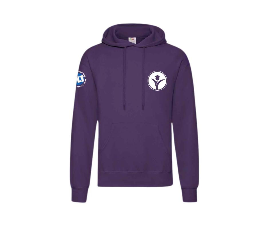 SLT - Economy Hoodie - Image 15
